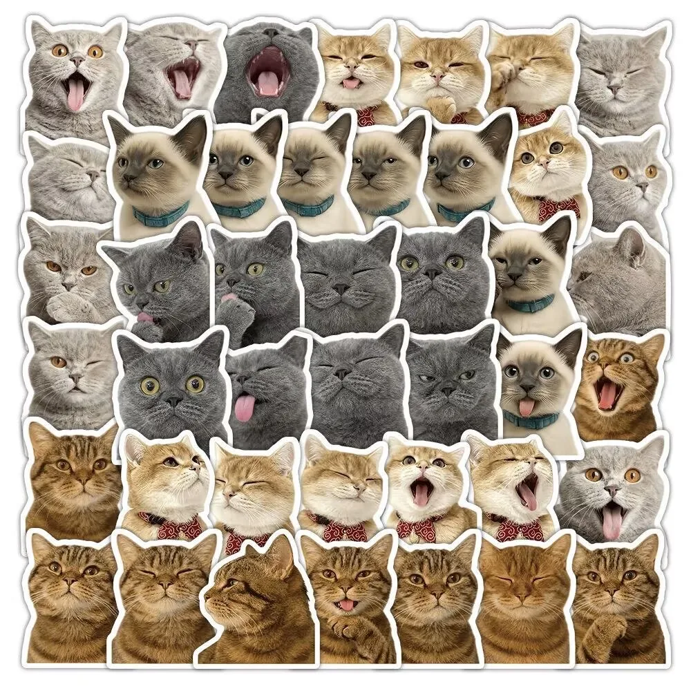 54 pieces cat big-head expression stickers - high-quality cute pet cat stickers for decoration