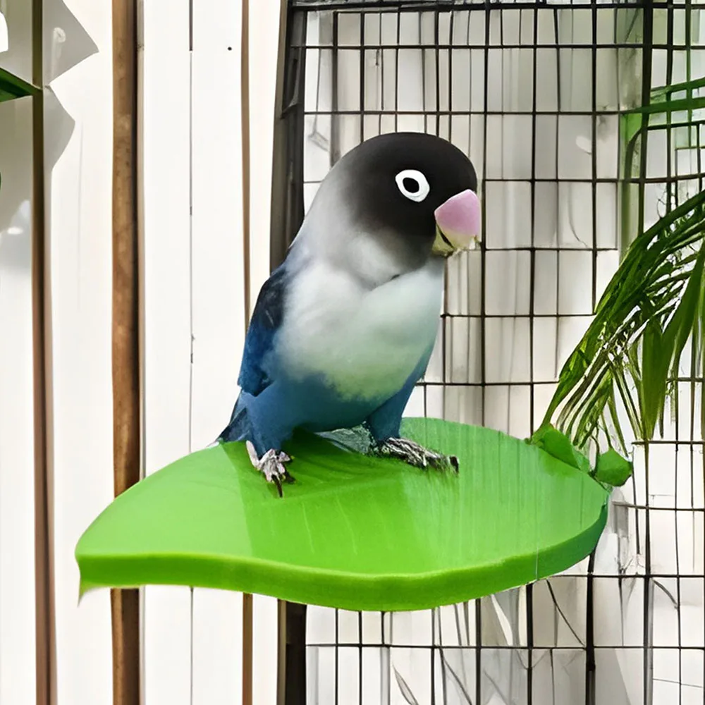 

Parrot Stand Toy Bird Stand Tray Cage Perch Leaf Shaped Interactive Play Gym Toy Tray Bird Cage Accessories