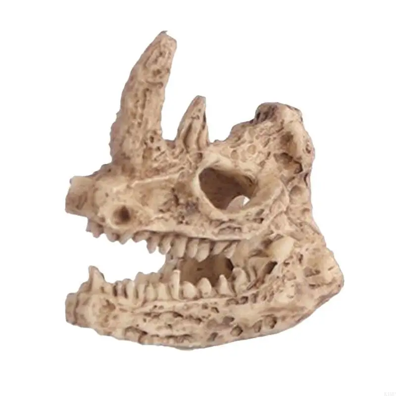 Tanque peixes aquário diy