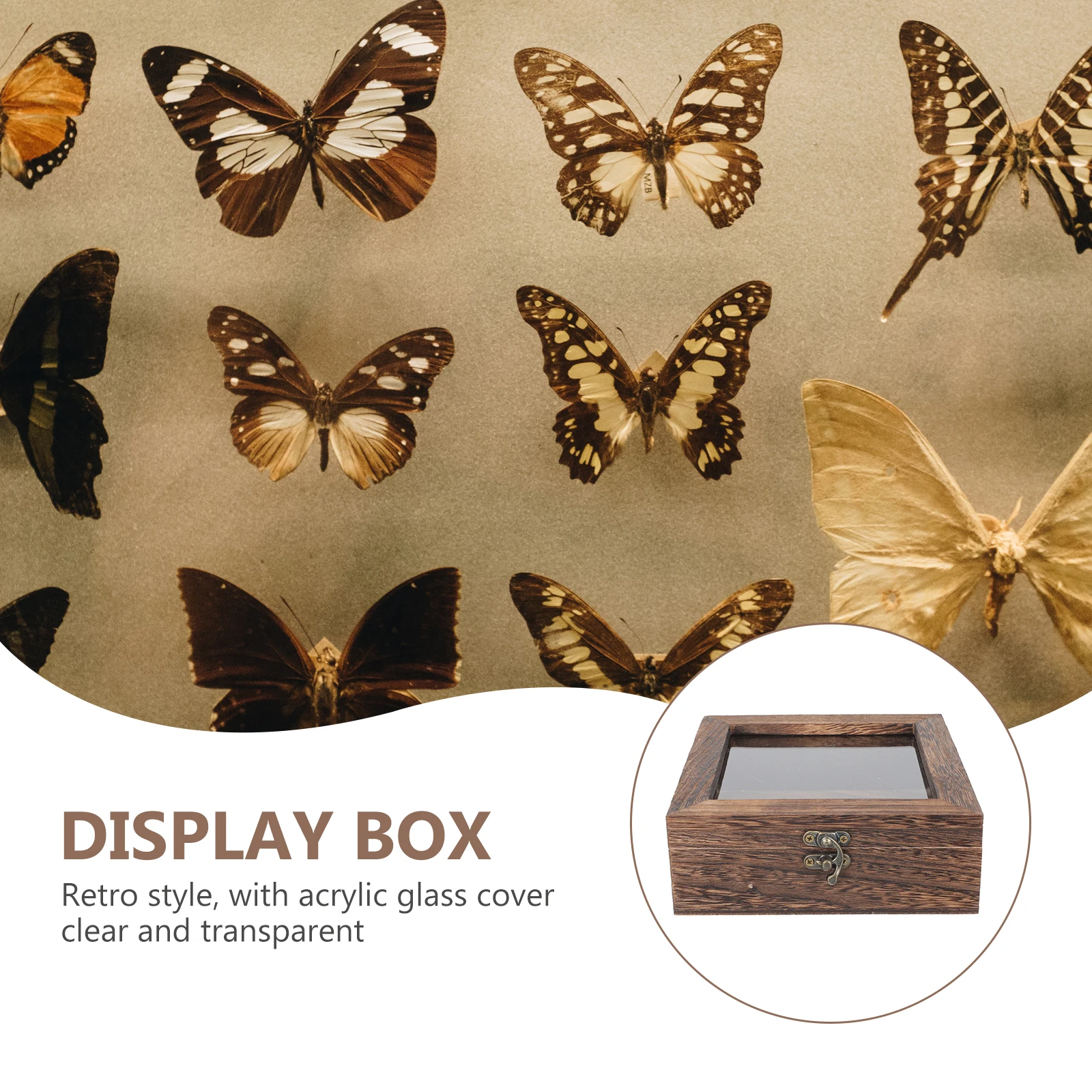 

Butterfly Specimen Box 15x15x4.5cm Dustproof Transparent Lid Wooden Sample Box Retro Jewelry Case Insect Display Storage