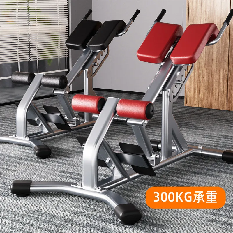 Roman Stool Fitness Chair Professional Goat Stand Up Waist Abs Back Muscle Comprehensive Trainer