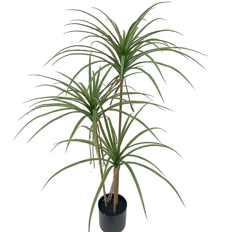 

Simulation green plants, indoor and outdoor garden landscape ornaments, simulation asparagus tree, dragon blood tree