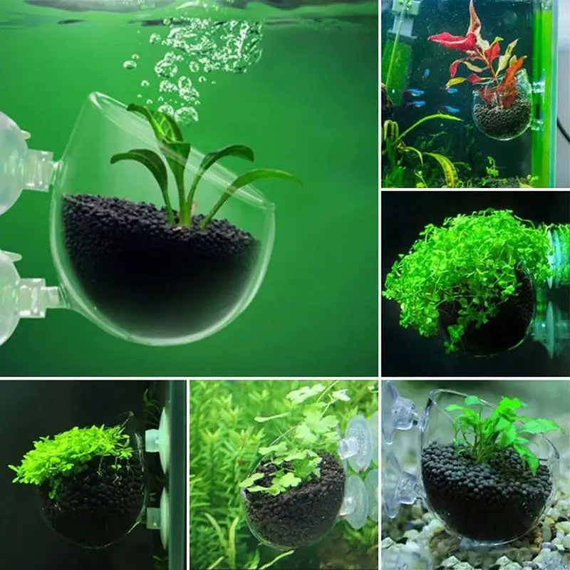 Vibe Acrylic Aquatic Plant Cup Aquarium Fish Tank Glass Plant Pot with suction holder Feeding Container Stand BHL1744-FRO