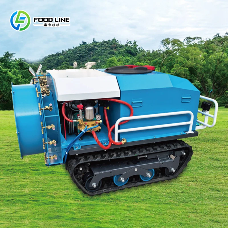 Small Farm Mini Sprayer for Irrigation Plant Protection Orchard Crop Fertilizer Spraying Machine Custom