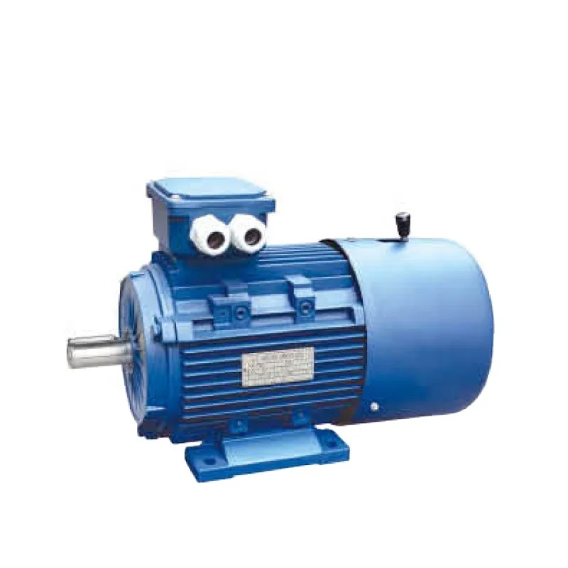 

0.75KW 1.5KW 5.5KW Electromagnetic Brake Electric Motor