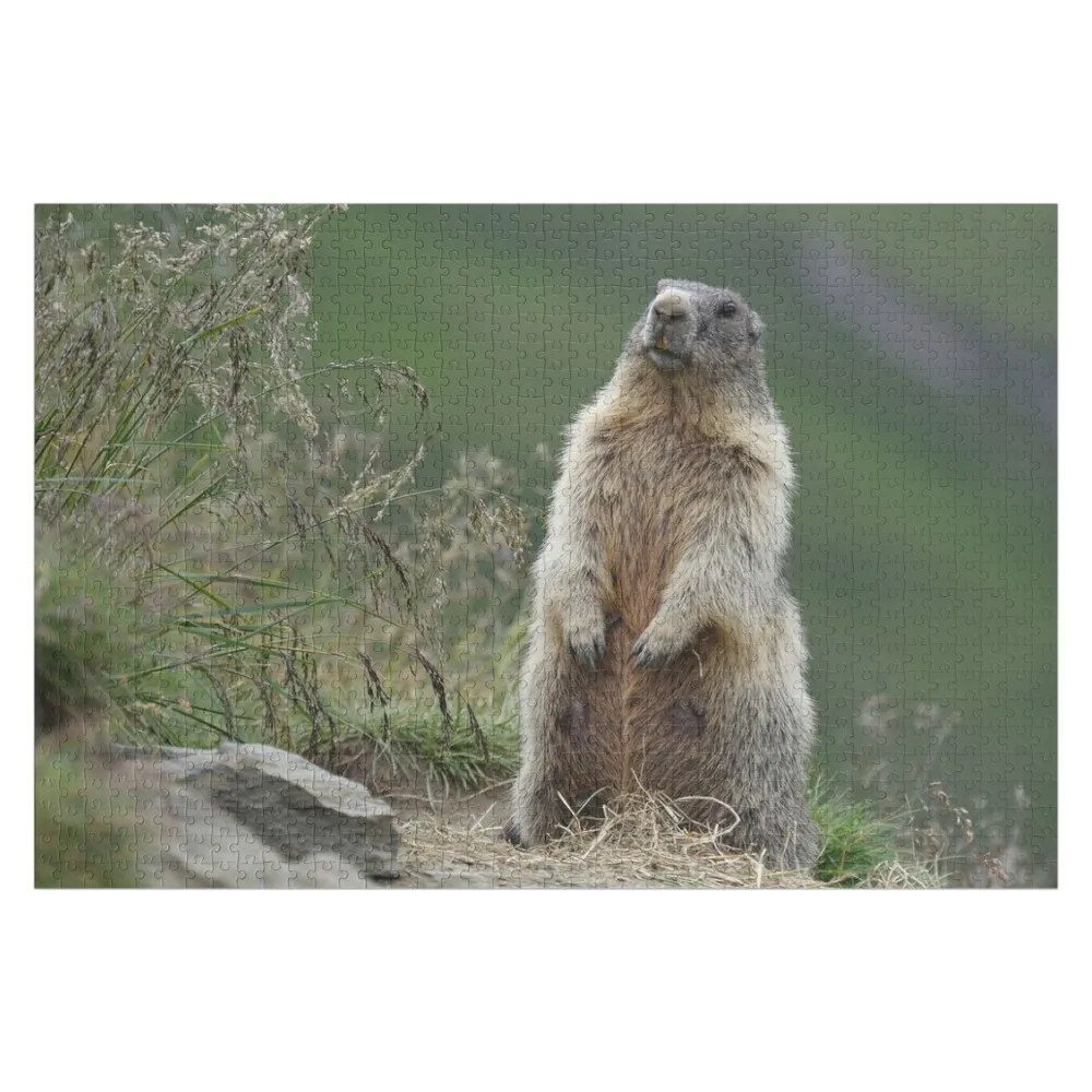 

Marmota marmota Jigsaw Puzzle Custom Wood Picture Personalized Gift Ideas Puzzle