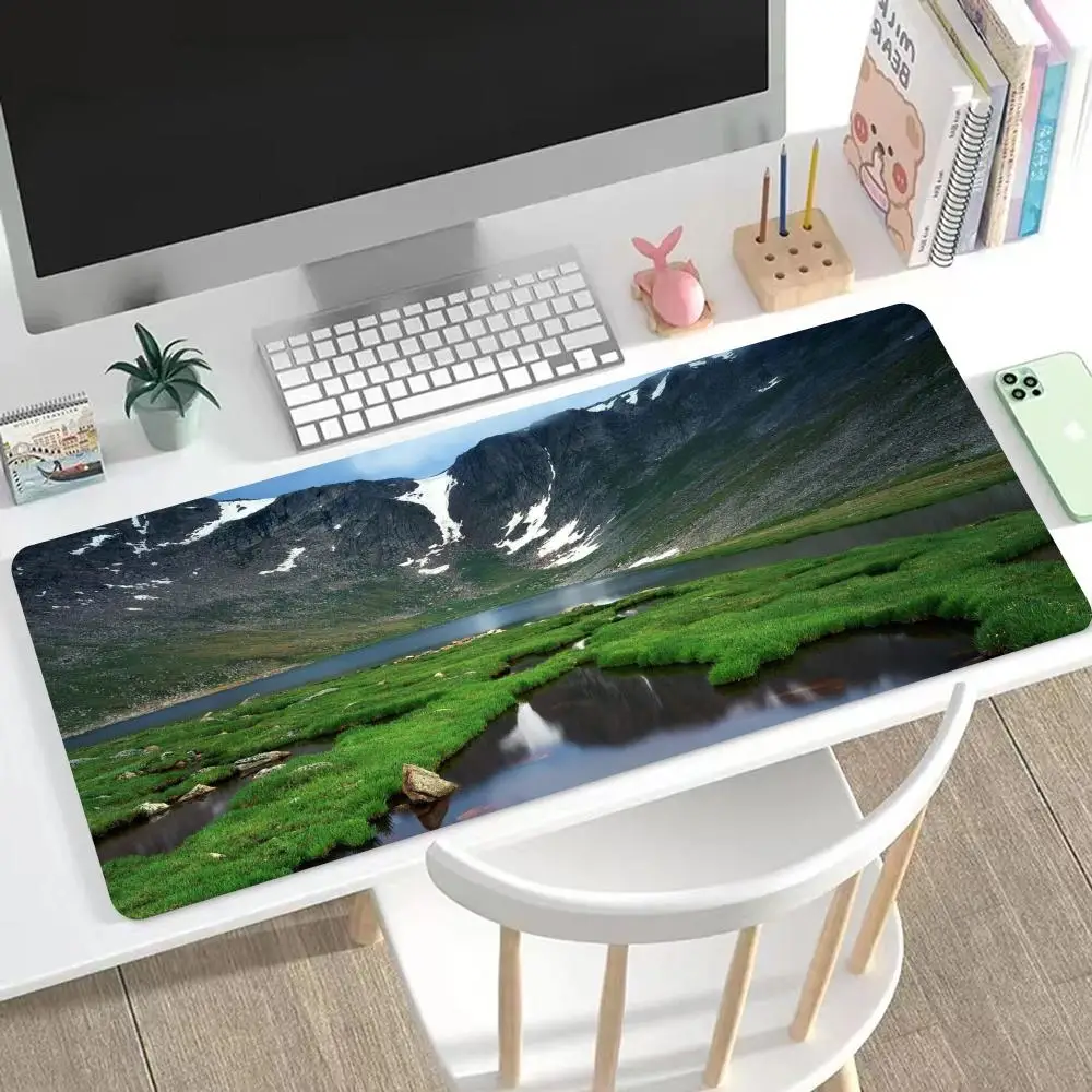 

Green spring prairie field Mouse Pad Cute HD Mousepad Pad Extended Gaming Keyboard LargeMousepad 90x40cm XXL Gamer Mousepad
