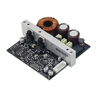 2025 hot sale Original 500W 500A 4 Ohms Digital Power Amplifier Board Power Amp Board Audio Accessory for Icepower