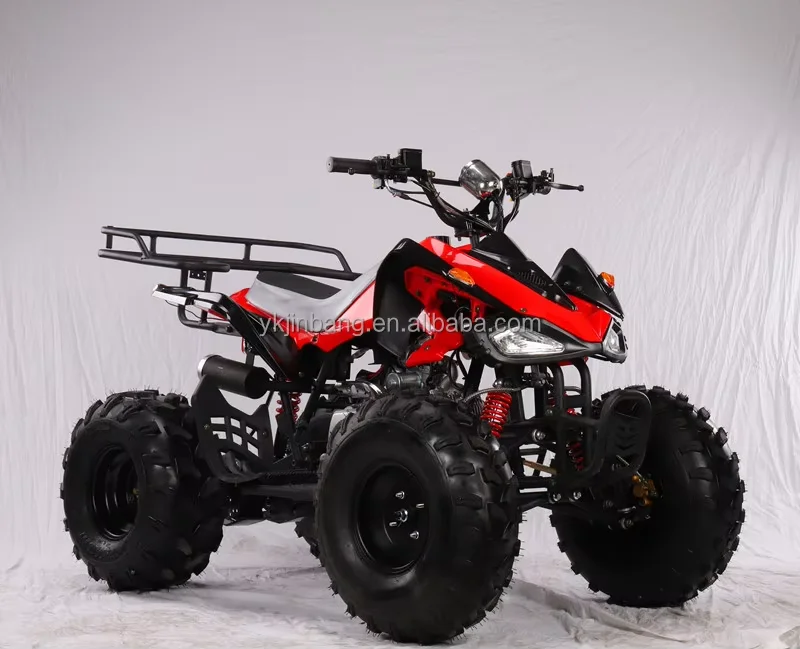 

High Quality 125cc Gas 4-Stroke 2WD ATV Quad Bike Automatic 4 Wheeler Chain Drive CE Certified