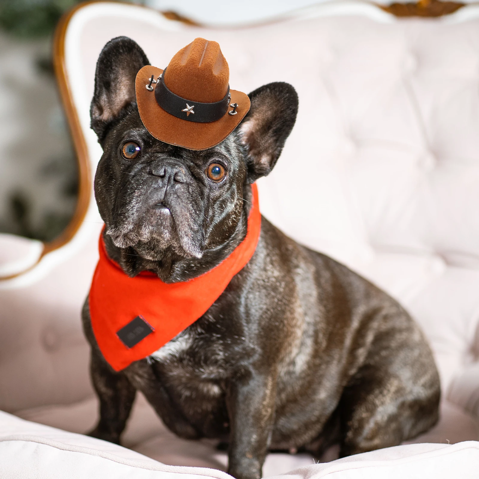 

Creative Pet Cowboy Hat Stylish Comfortable for Dogs Cats Party Festival Photo Props Gift Dog Hat Little Hats Cat Accessories