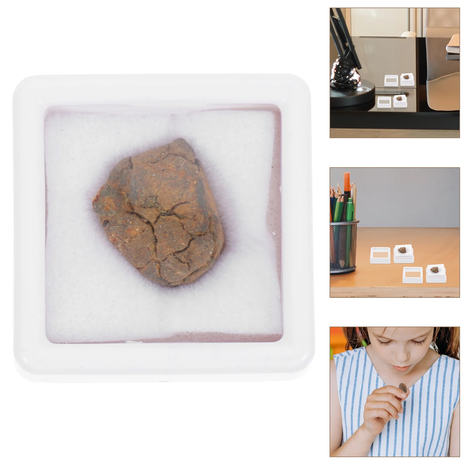 2 Pcs Olive Meteorite Specimen Iron Teaching Desktop Ornament Child Decoration