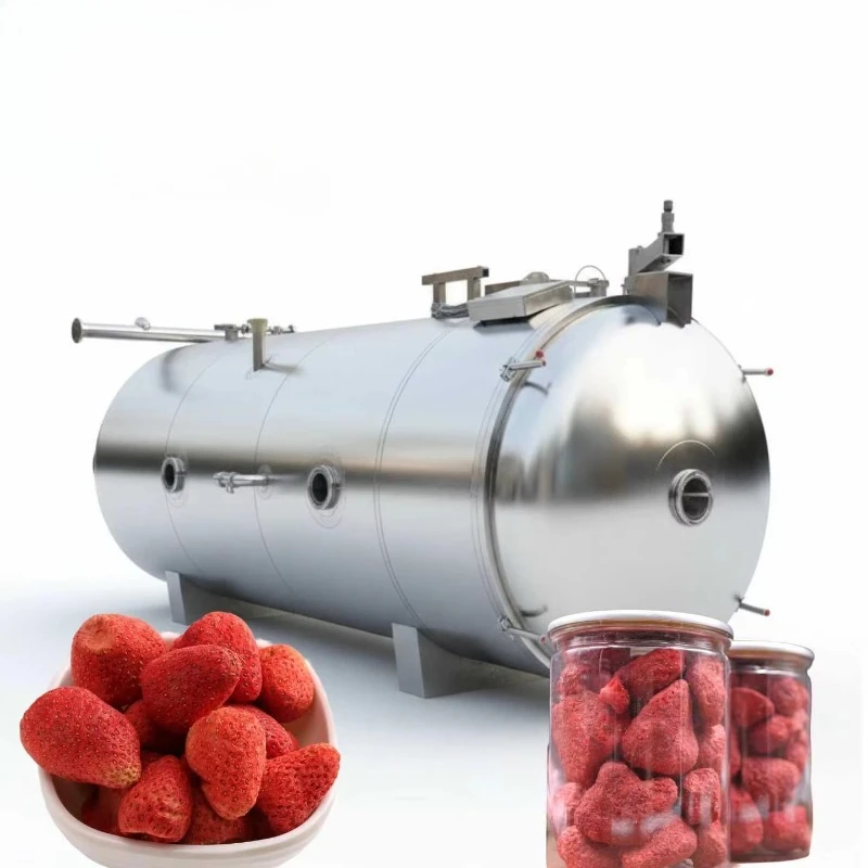 Commercial Best Selling FD-100 High Speed Sublimation Process Crispy Strawberry Snack Production Vacuum Freeze Drying Machine