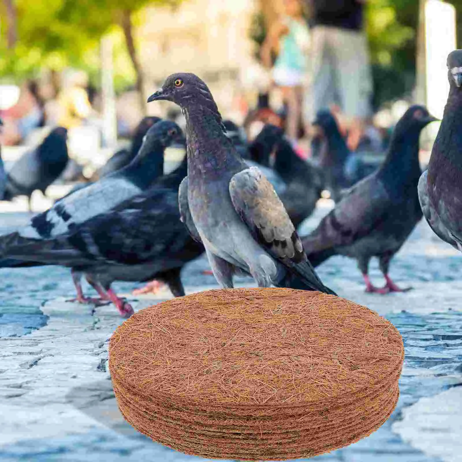 12 Pcs Pigeon Nest with Brown Cushion Supply Birdemic Litter Natural Egg Pads Mat Coir Durable Mats House Pet Bedding