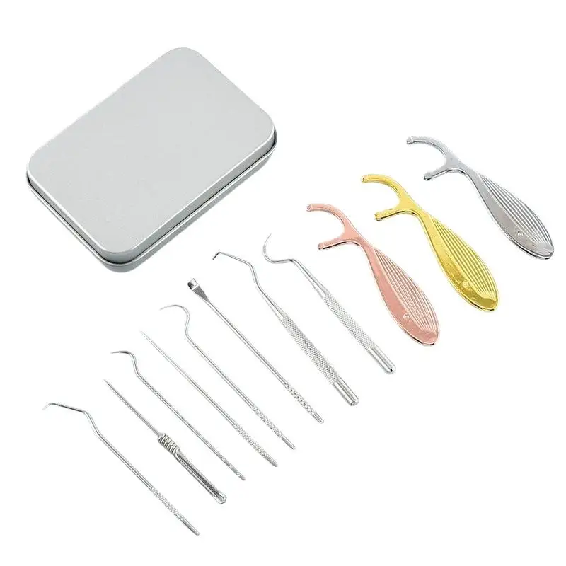 9Pcs Stainless Steel Reusable Toothpick Dental Floss Set Portable Food Grade for Daily Oral Teeth Care Home Travel Use