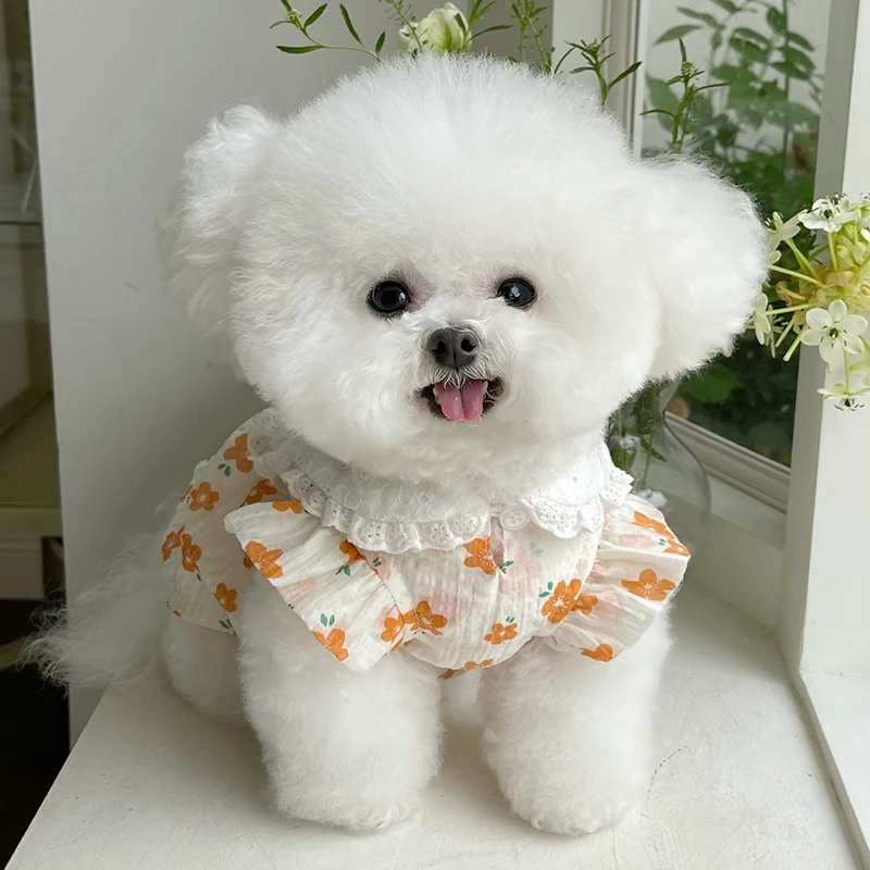 Costume d'été pour chien, chat, chiot, petit chien, gilet, robe, Chihuahua, Yorkie, poméranien, Shih Tzu, chien maltais, Xxs