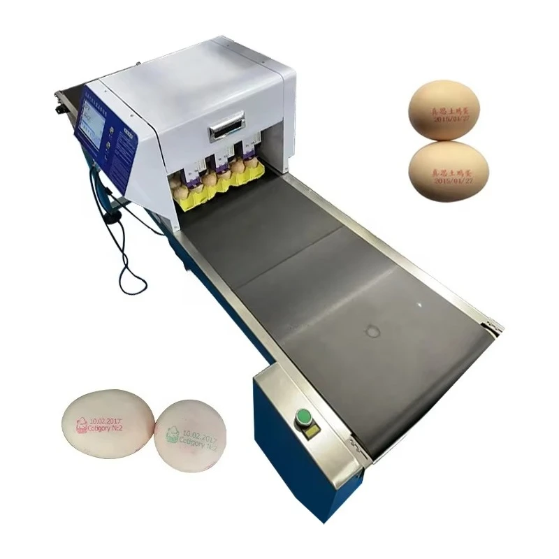 Customized Automatic Egg Inkjet Printing Machine Egg Logo Date Coding Printer For Egg Farm