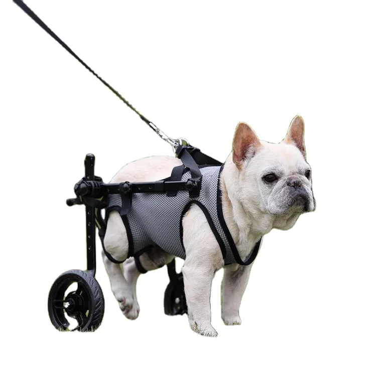 

Canine Wheelchair Dog Rehab Support Trolley Pet Dog Mobility Scooter Pet Dog Mobility Scooter