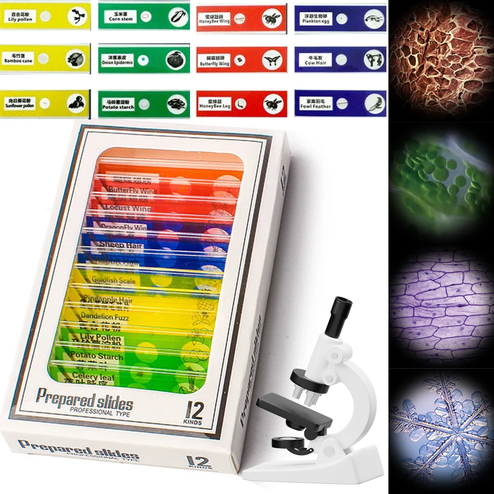 Lab Handheld Microscope Lab LED Light Battery Powered Kids Science Microscope Home School Biological Science Educational Toys