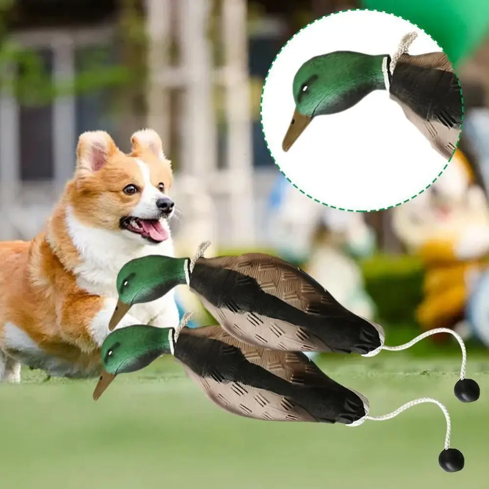 Mallard Duck Decoy Dog Training Toys Bite Resistant For Training Dogs Pet Hunting Decoy Toys Relaxing