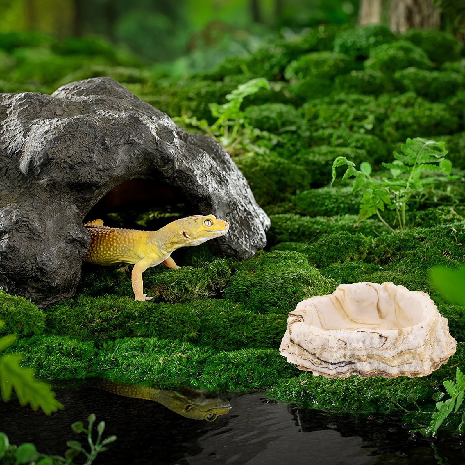 

Resin Rock Feeding Bowl For Reptile Water Food Storage Non-Slip Terrarium Dish Pet Feeder Reptile Bowl Tortoise Supply