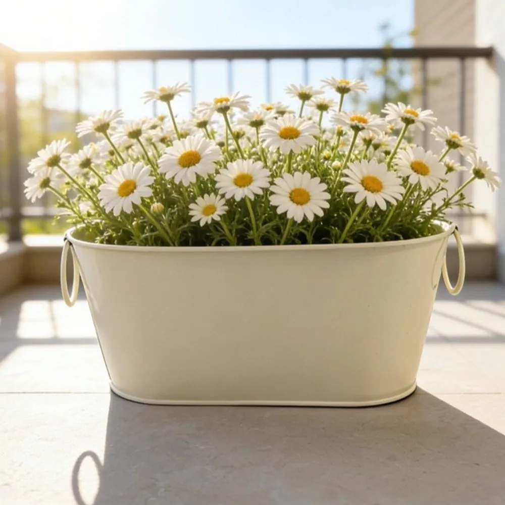 Simple Rustic Iron Flower Pot Vintage with Handle Plant Pot with Drainage Flower Container