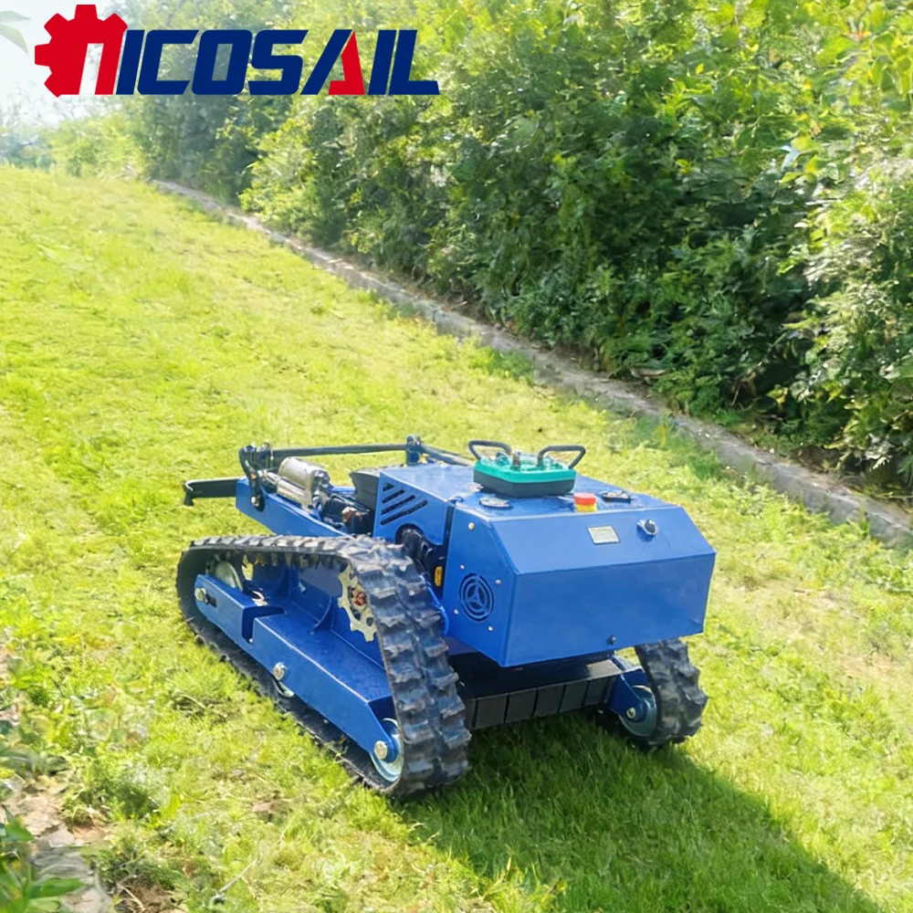 500mm Customizable Remote Control Mower CE Certified Euro 5 Compact for Farm Garden Landscaping