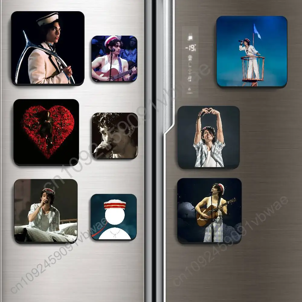 

Refrigerator Magnetic Sticker Fridge Magnets Adhesive to Metal Surfaces Leaves Wishbone Kid Krow Conan Gray BestSelling
