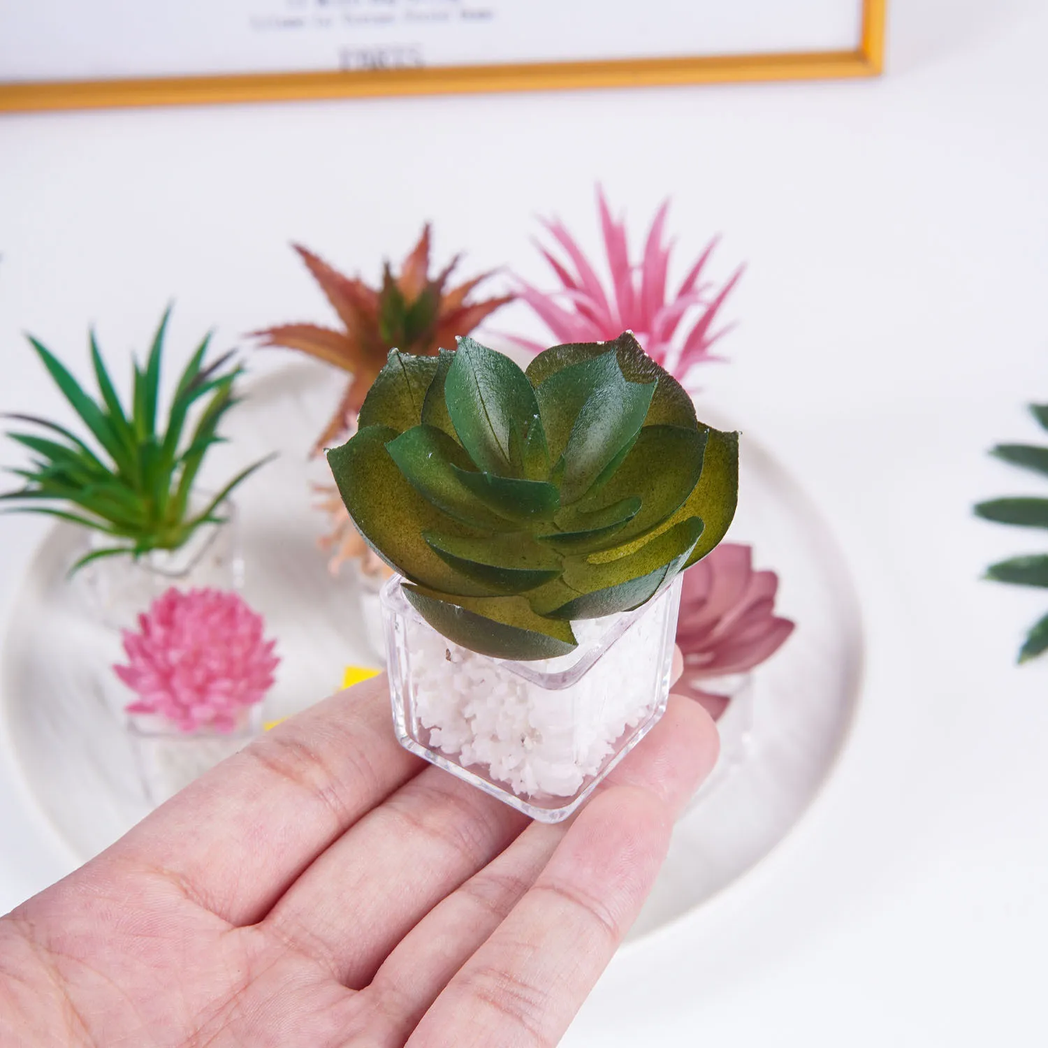Mini Artificial Succulent Plant Potted Aloe Bonsai Dollhouse Office Scene Green Plant Plastic Desktop Decor Landscape Ornament