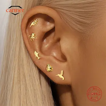 CANNER 1 Adet Hayvan Figürlü Düz Dişli Kulak Kemiği Piercing Küpe (925 Ayar Gümüş, Pürüzsüz Yüzeyli) Dinozor Ahtapot Böcek Küpe 10 best sales Ahtapot piercingi - №3
