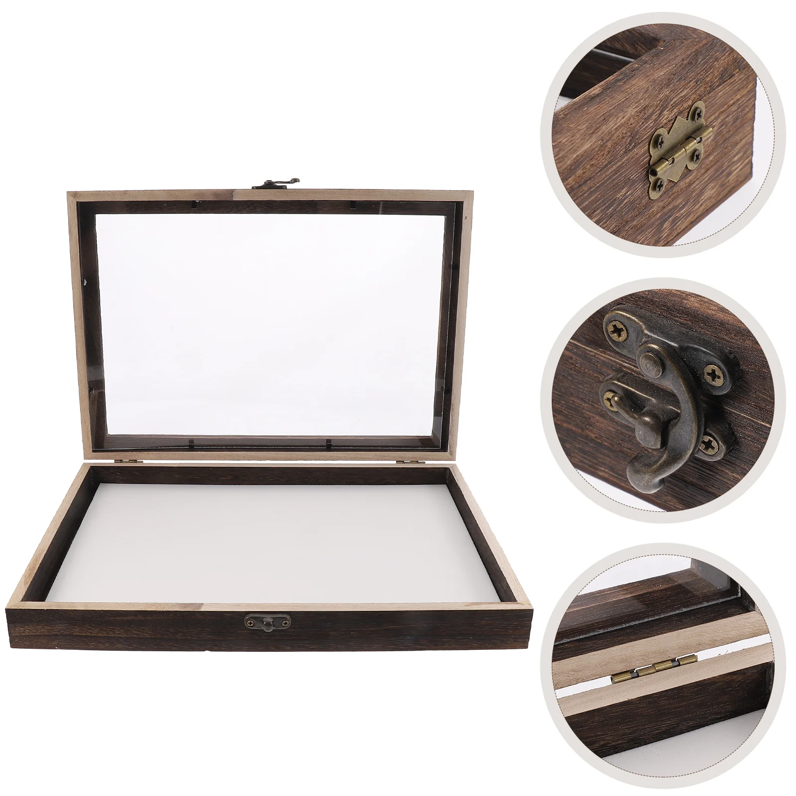 A4 Picture Frame Insect Specimen Box Display Case Wood Showcase Ant Container Vintage Child