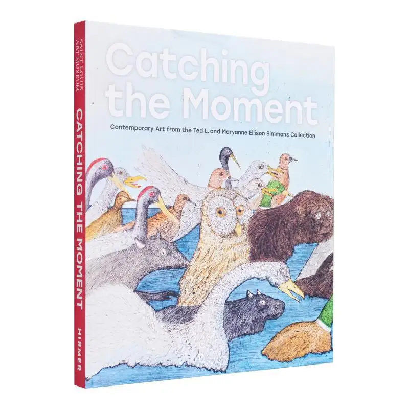 

Catching The Moment Contemporary Art From The Ted L And Maryanne Ellison Simmons Collection 9783777438436