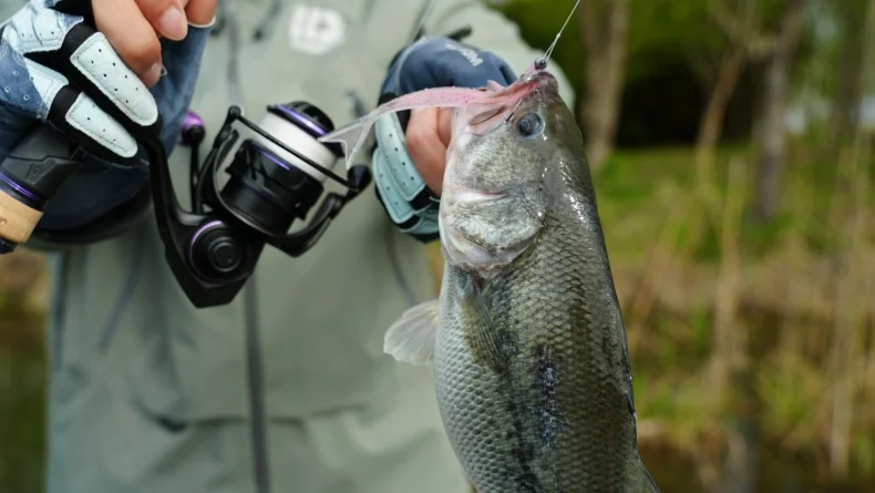 Kingdom Sinking Buckle Wings Soft Lure 100mm 4.2g Drop Shot Rig Soft Swimbait Split Tail für Bass, Forelle, Hecht, Zander, Pesca – Detail 1