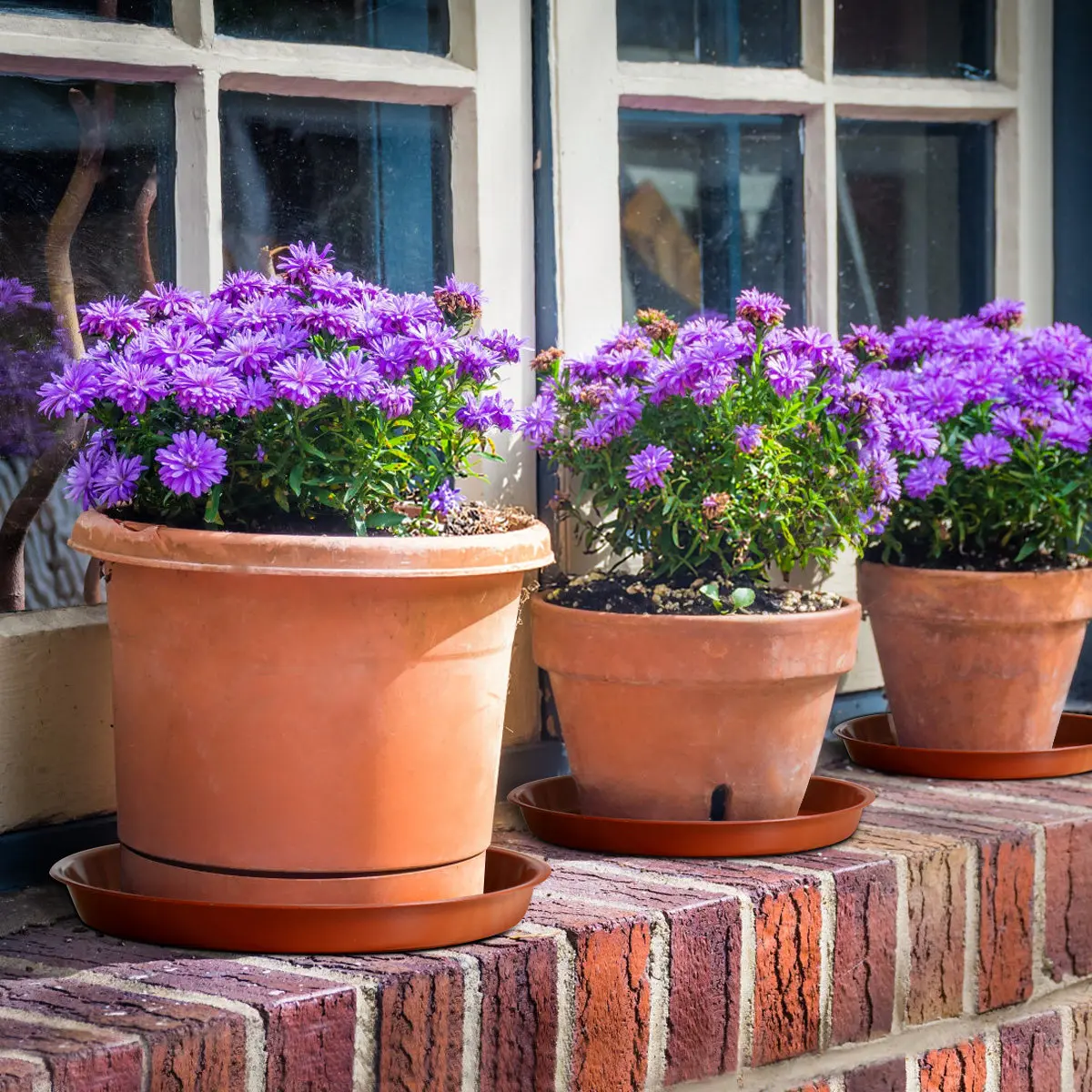 

Набор из 10 красных пластиковых поддонов для цветочных горшков, термостойкие, нескользящие, для бонсай и суккулентов, для сада и дома, для сбора капель