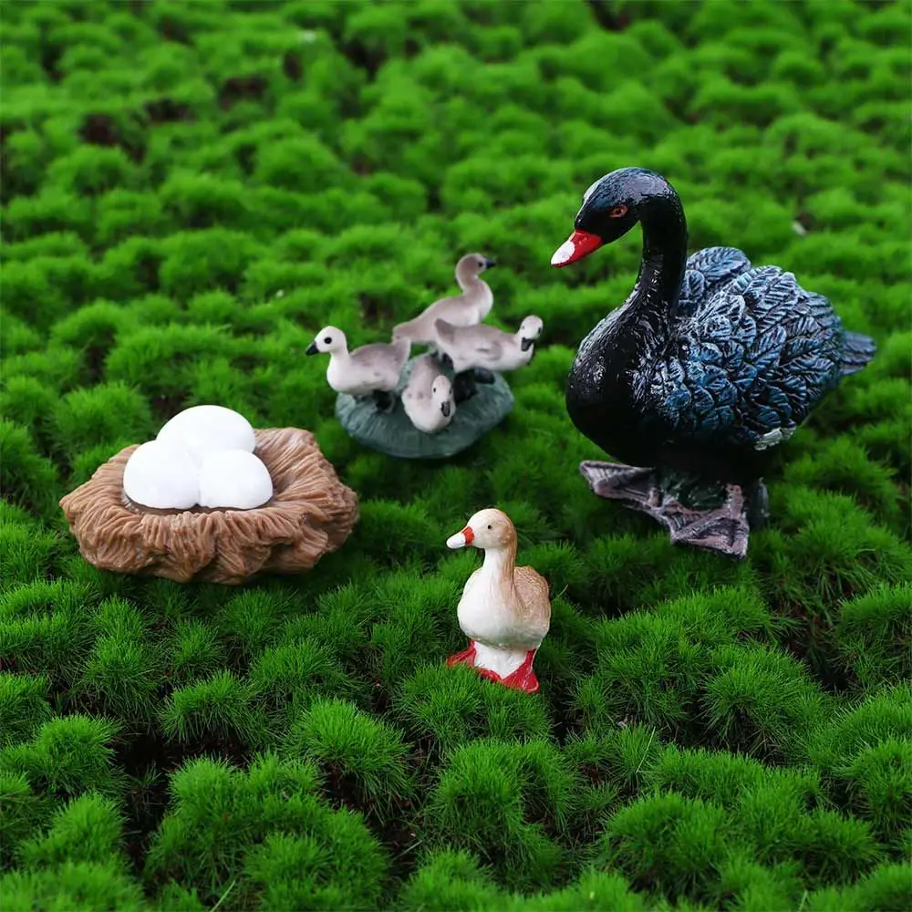 

Gifts Science Miniature Swan Model Hen Cock White Goose Growth Cycle Simulation Cycle Duck Figurine Life Cycle Figures