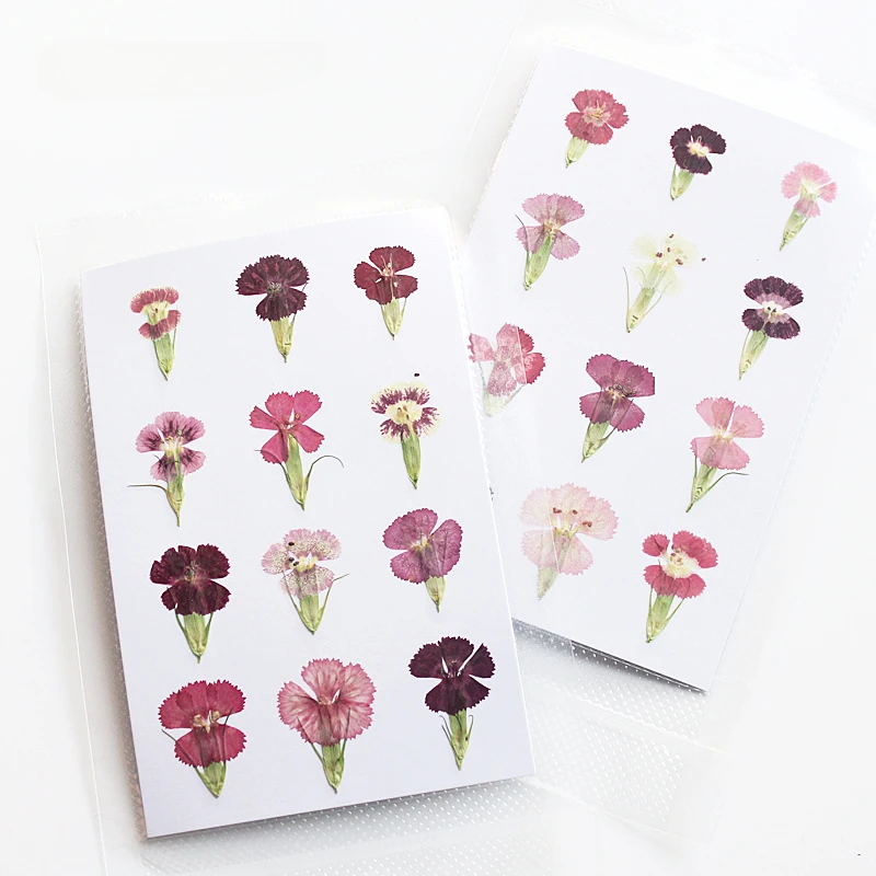 2-3 cm/12 pièces, pétales de fleurs au toucher réel de la nature, bougies pressées Dianthus bricolage artisanat signet carte-cadeau, décoration faciale de fleurs séchées