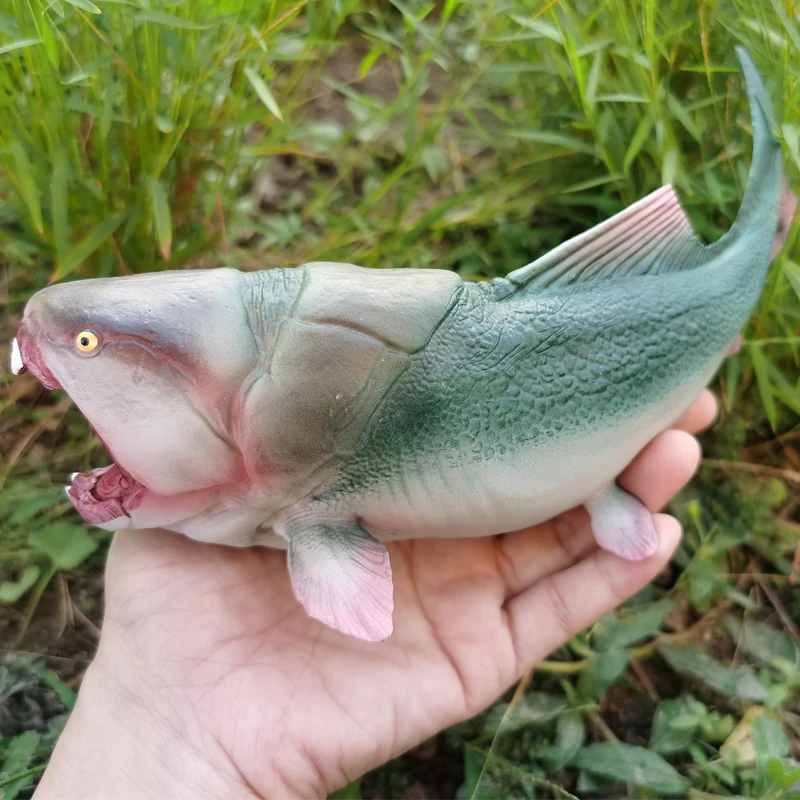 โมเดลสัตว์ทะเลน้ำตื้นสมจริง สำหรับตกแต่งบ้าน ของเล่นเสริมพัฒนาการเด็ก ของสะสม