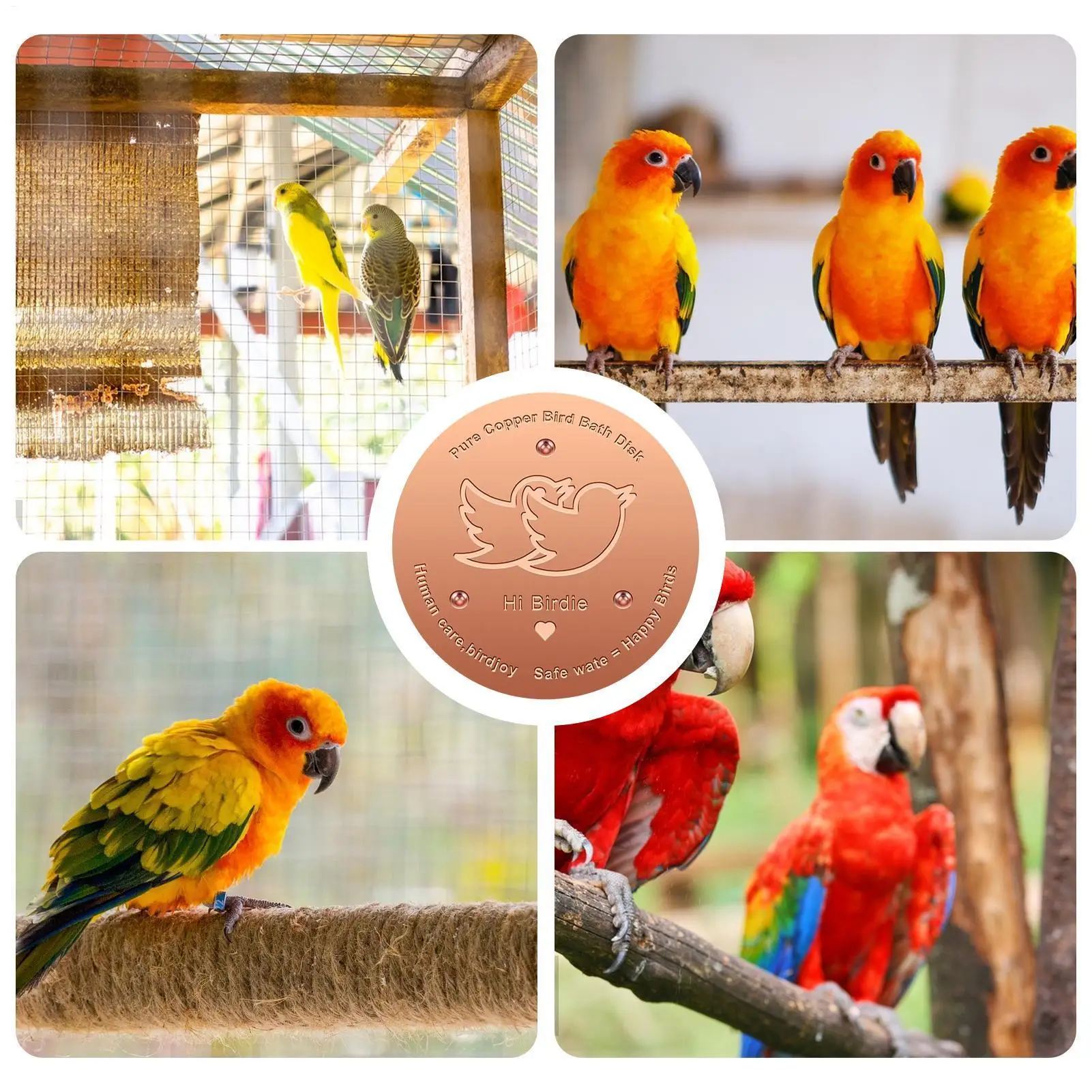 

Медный диск для птичьей ванны, 2 шт., диск для очистки птичьей ванны с трехточечной опорой, противоскользящий лоток для чистки воды для