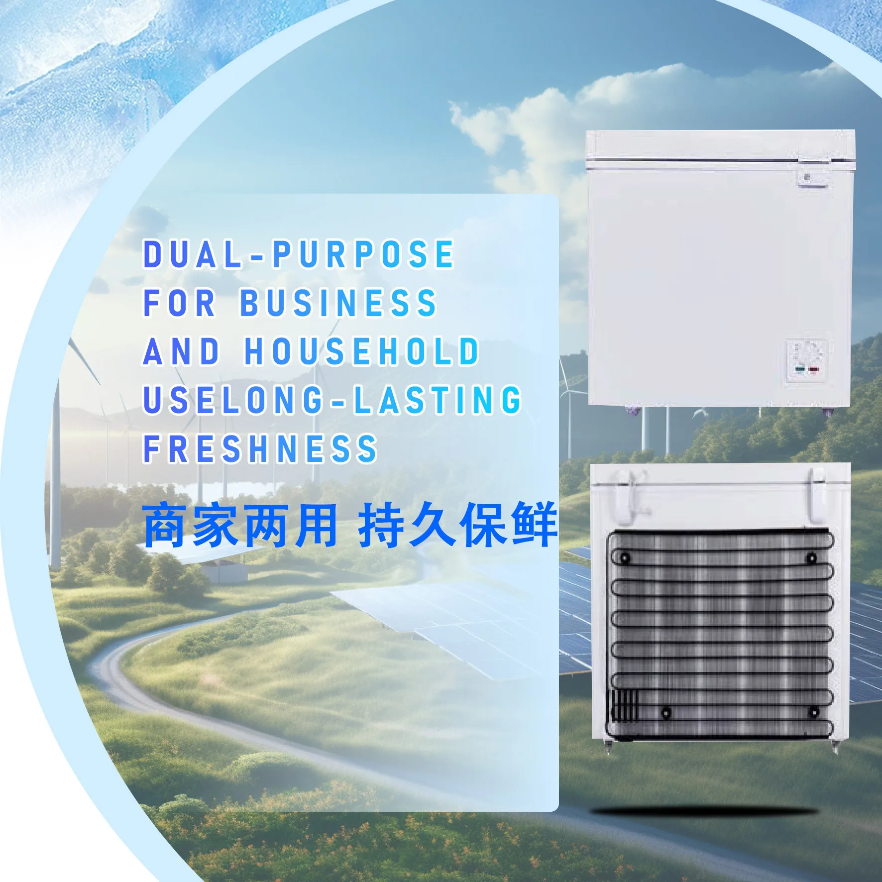 Congelador solar económico con capa de espuma DC, refrigerador comercial de 198L, congelador solar