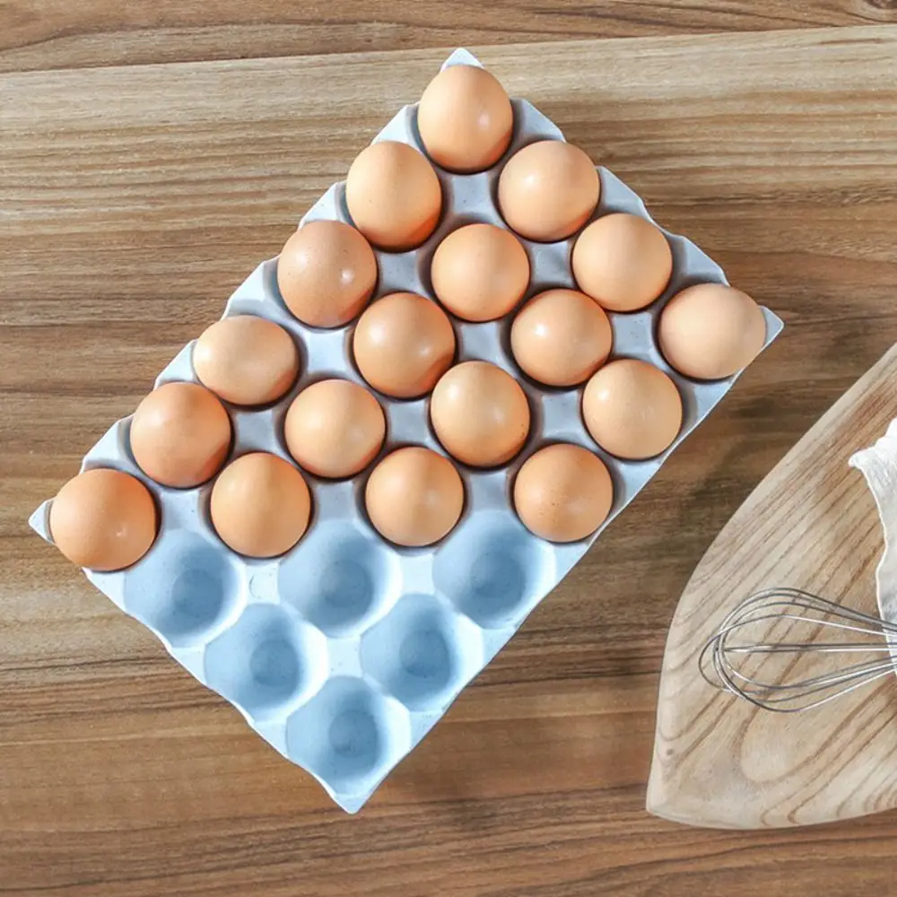 Trendy 24/15 Grooves Egg Storage Box Large-capacity cCash-proof Egg Dispenser for Kitchen Save Space Household Egg Rack