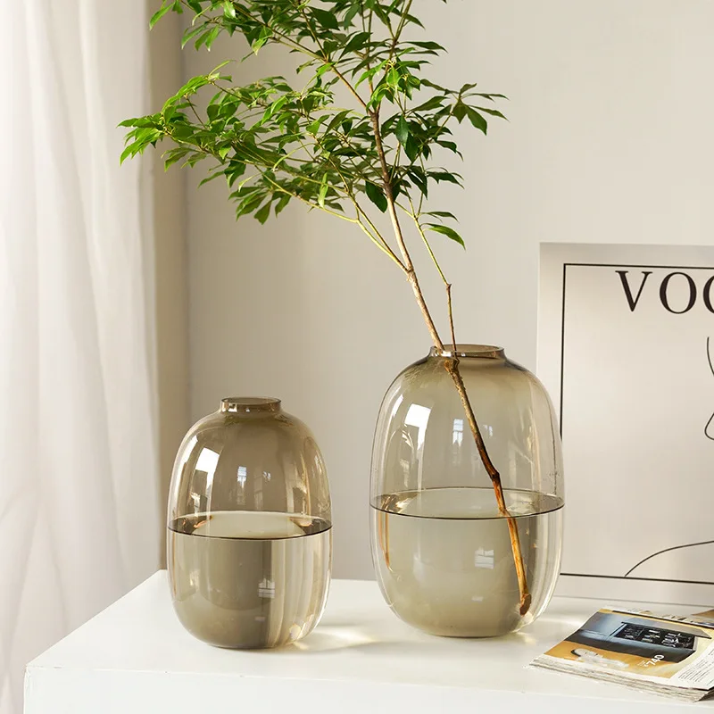 

Ins - style Light Luxury & Minimalist Glass Vase, High - end Decor for Living Room & Bar, Hydroponic Ornament for Home Decoratio