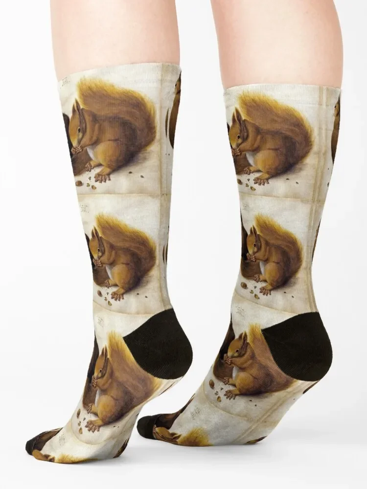 اثنين من السناجب من ألبريشت دورر الجوارب الموضة اليابانية عدم الانزلاق مخصص المرأة الجوارب الرجال #4