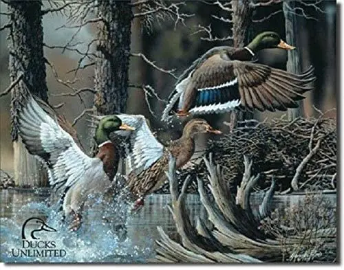 Ducks Unlimited Beaver Pond Hunt Rustic Cabin Wall Art Decor Metal Tin Sign 8x12in New