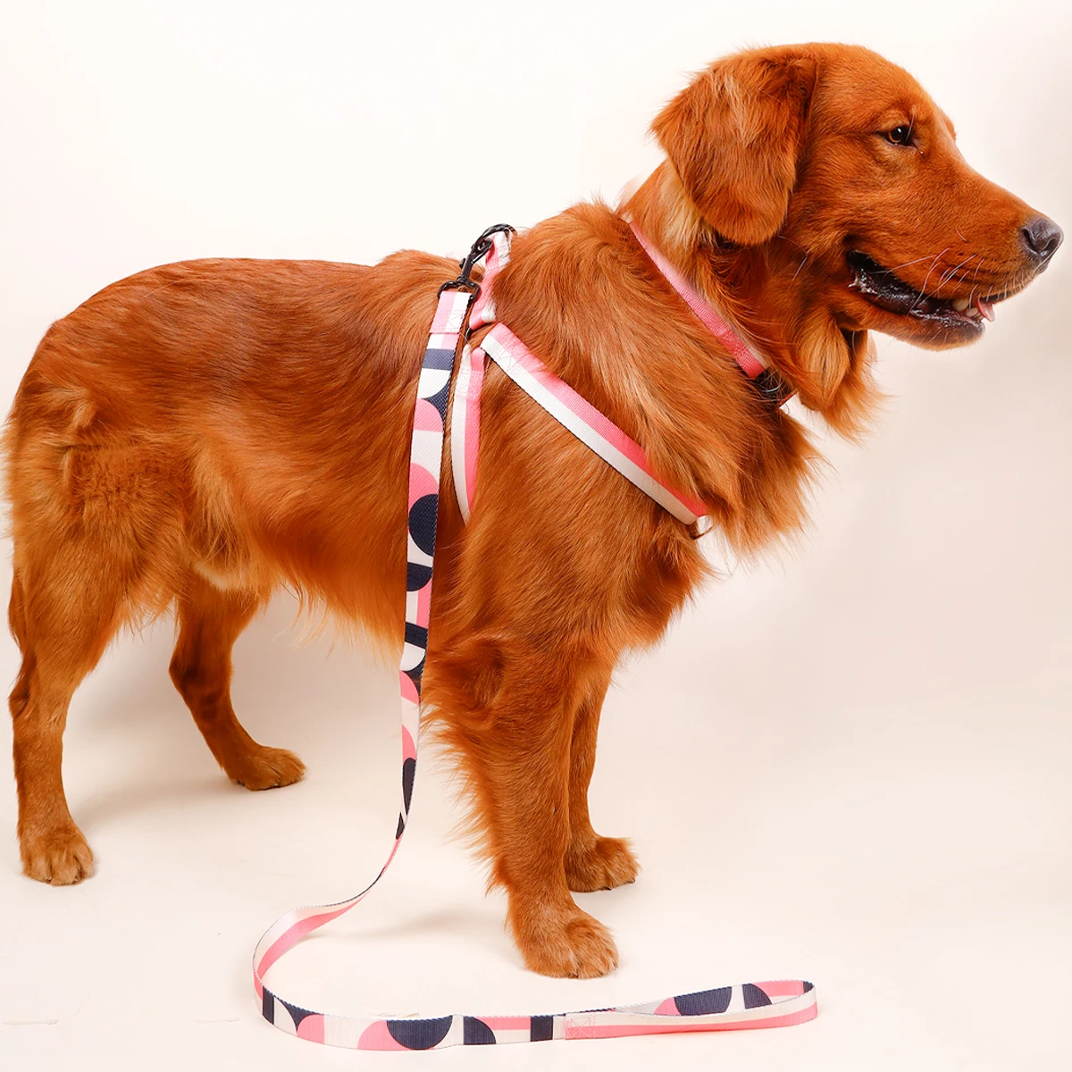1PC Fashionable Pet Chest Harness, Dog Leash For Walking Outside, Anti-breakaway Dog Collar, Three-piece Set Of Dog Tract