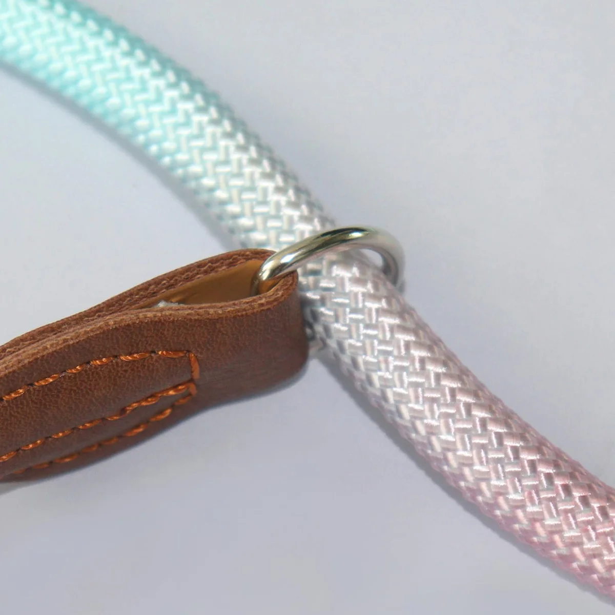 A colorful pet dog leash for indoor and outdoor use