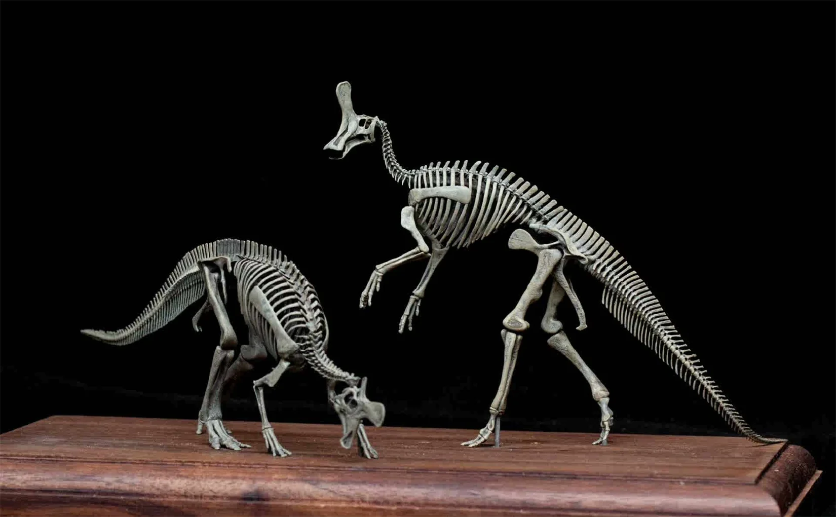 VWUVWU 1/20 Tsintaosaurus Spinorhinus VS Lambeosaurus Skeleton Model Dinosaur Animal Collection Scene Desk Home Decor Gift Toy