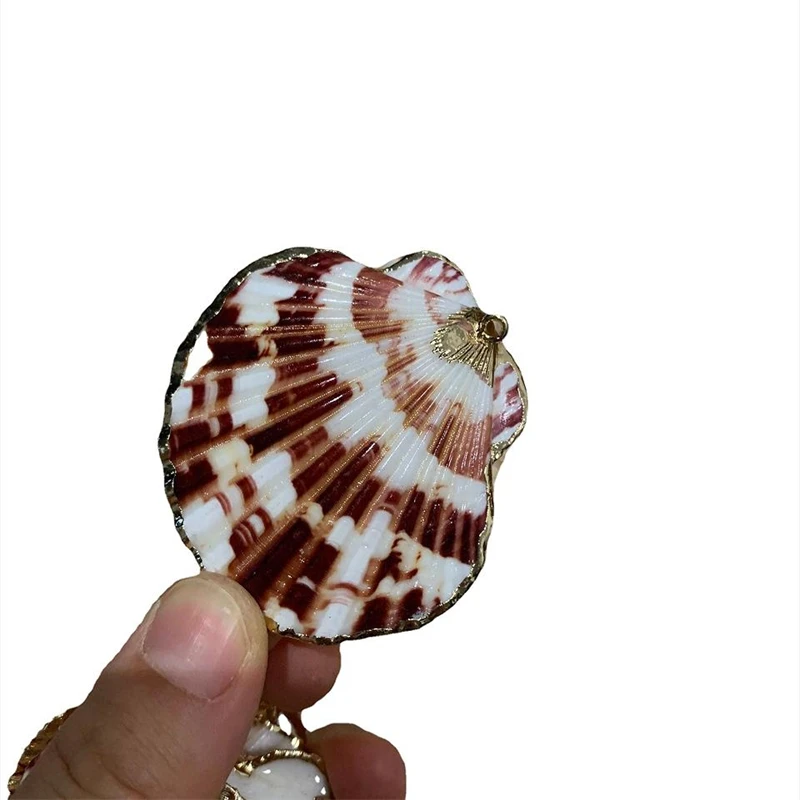 Natural Gold Plated Shell Pendant Flower Shell, Conch Earrings Necklace Accessories DIY Shell Bracelet, Plain Pattern, 4-6cm, 1P