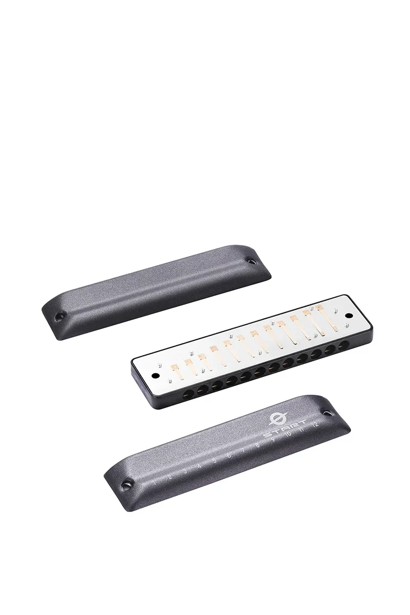 2025 هارمونيكا دياتونيك 12 فتحة بريميوم بلوز هارمونيكا للمبتدئين والأطفال