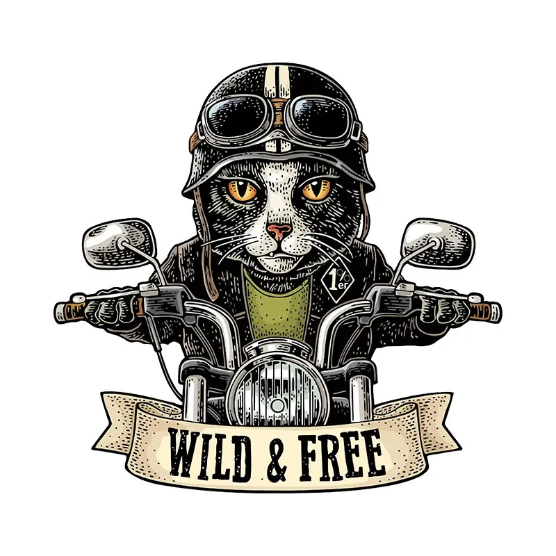 ملصقات القط لراكبي الدراجات النارية ، شارات فينيل قابلة للإزالة للدراجة النارية ، خزان الوقود ، خوذة الزجاج الأمامي ، الديكور الرائع #6