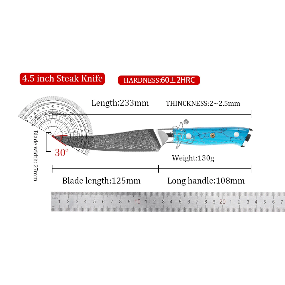 YAN Professional Damascus Steel Chef Knife 67 Layers AUS-10 Core 4.5 Inch Steak Kitchen Knives Blue Turquoise Resin Handle