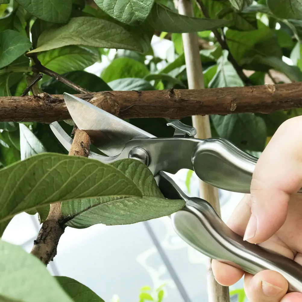 

1Pcs Professional Garden Scissors Resistant Pruning Shears for Trees Shrubs Branches Fruit Tree Trimming Tools